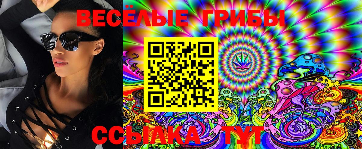 Галлюциногенные грибы Psilocybe Ахтубинск